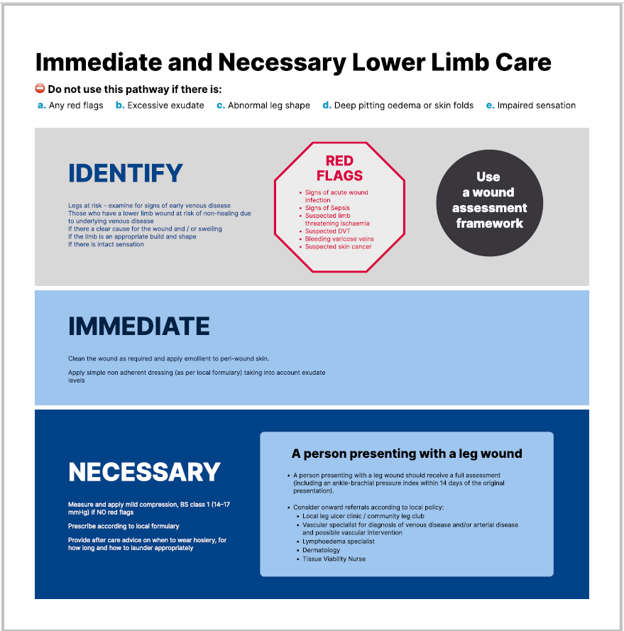Lower Limb Care Flowchart Lower Limb Care Flowchart graphic