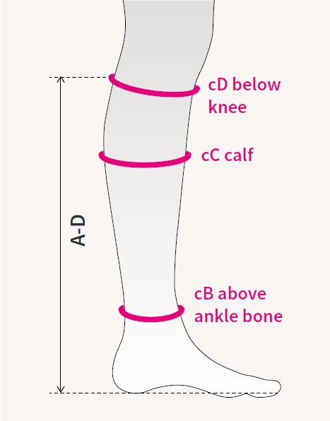 Compression stockings measurement diagram Compression stockings measurement diagram